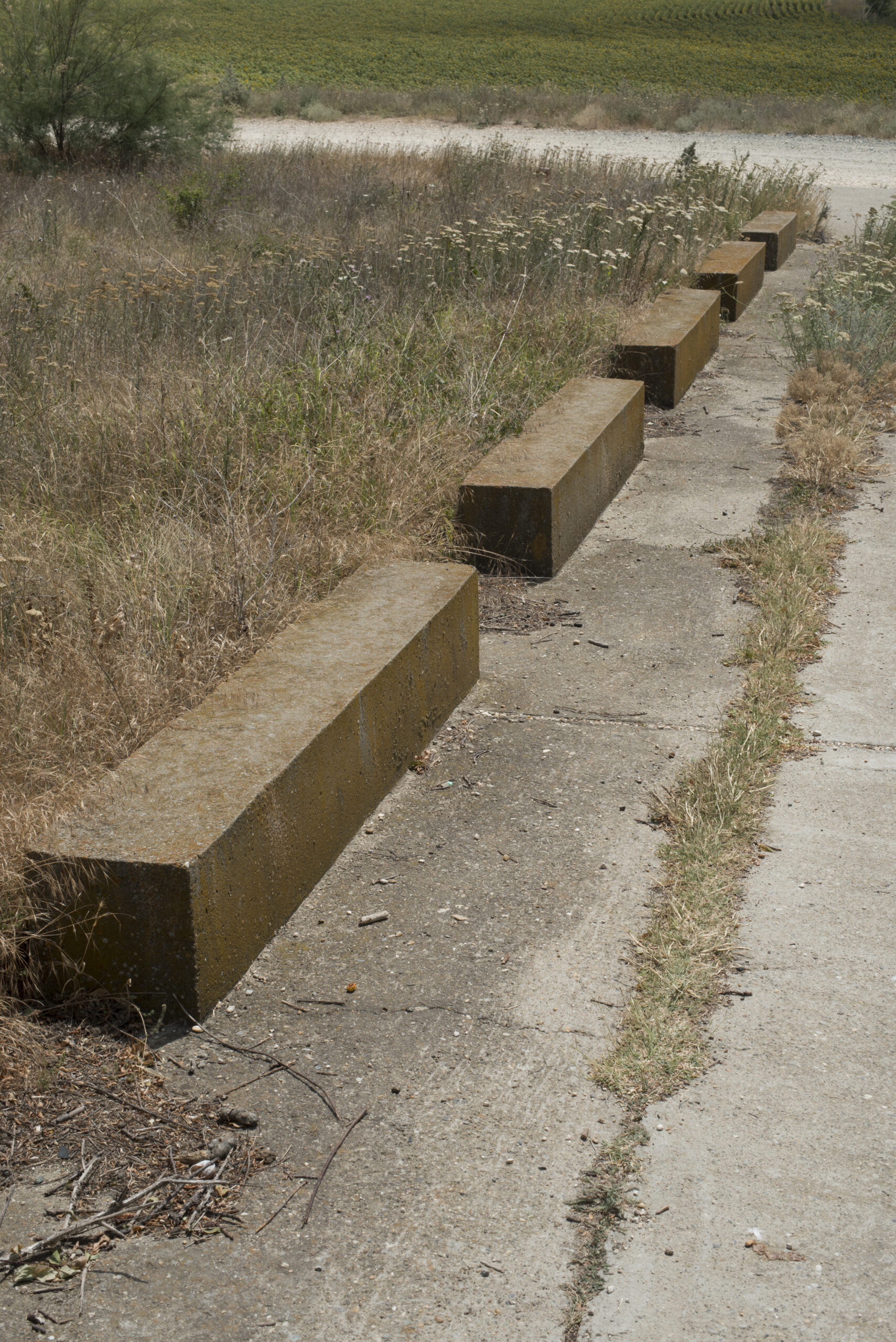 Monumentul Tineretului
